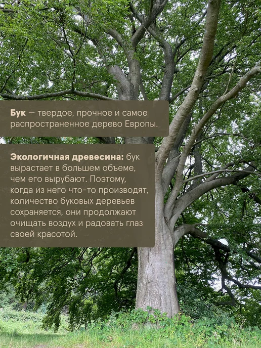 Jungle Story Деревянная ложка для обуви из бука с петелькой 38 см, бежевый, фото 3