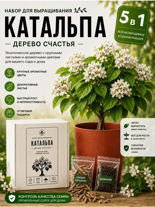 Дерево Счастья Катальпа Набор для выращивания растений, вариант