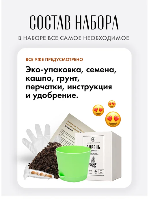 Дерево Счастья Катальпа Набор для выращивания растений, вариант, фото 2