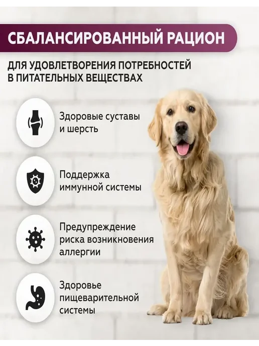 Сухой корм ВЕРНЫЕ ДРУЗЬЯ для собак, крупные, ягненок, 5 кг, фото 4