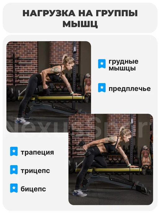 Nexus Sport Гантели неразборные 2 кг х 2, прорезиненные, пара, 2 кг, фото 3