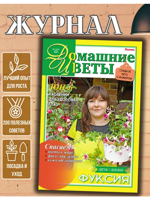 Домашние цветы журнал. Комнатные растения №7 25.Фуксия, вариант