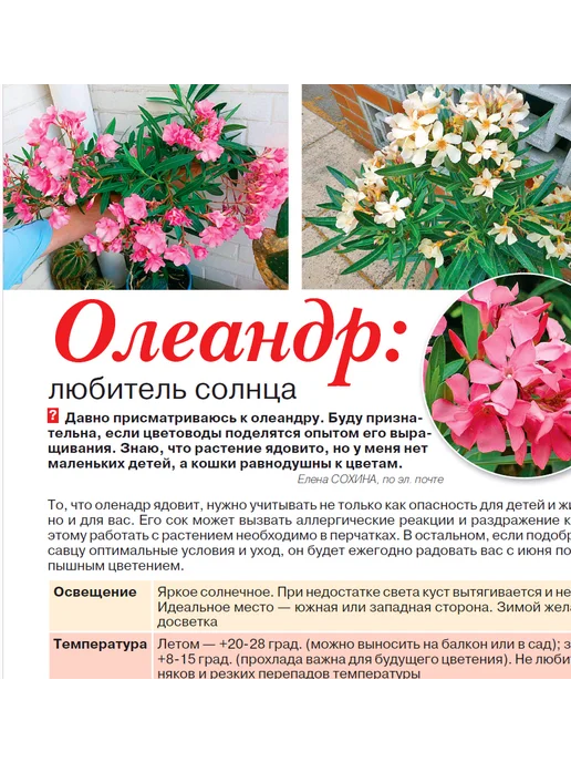 Домашние цветы журнал. Комнатные растения №7 25.Фуксия, вариант, фото 4