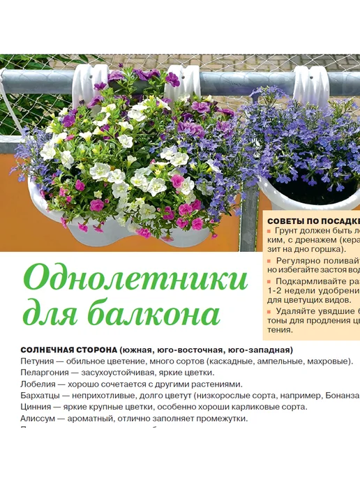 Домашние цветы журнал. Комнатные растения №7 25.Фуксия, вариант, фото 5