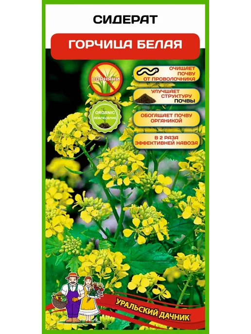уральский дачник Семена сидерата Горчица белая, 250г, 250 г