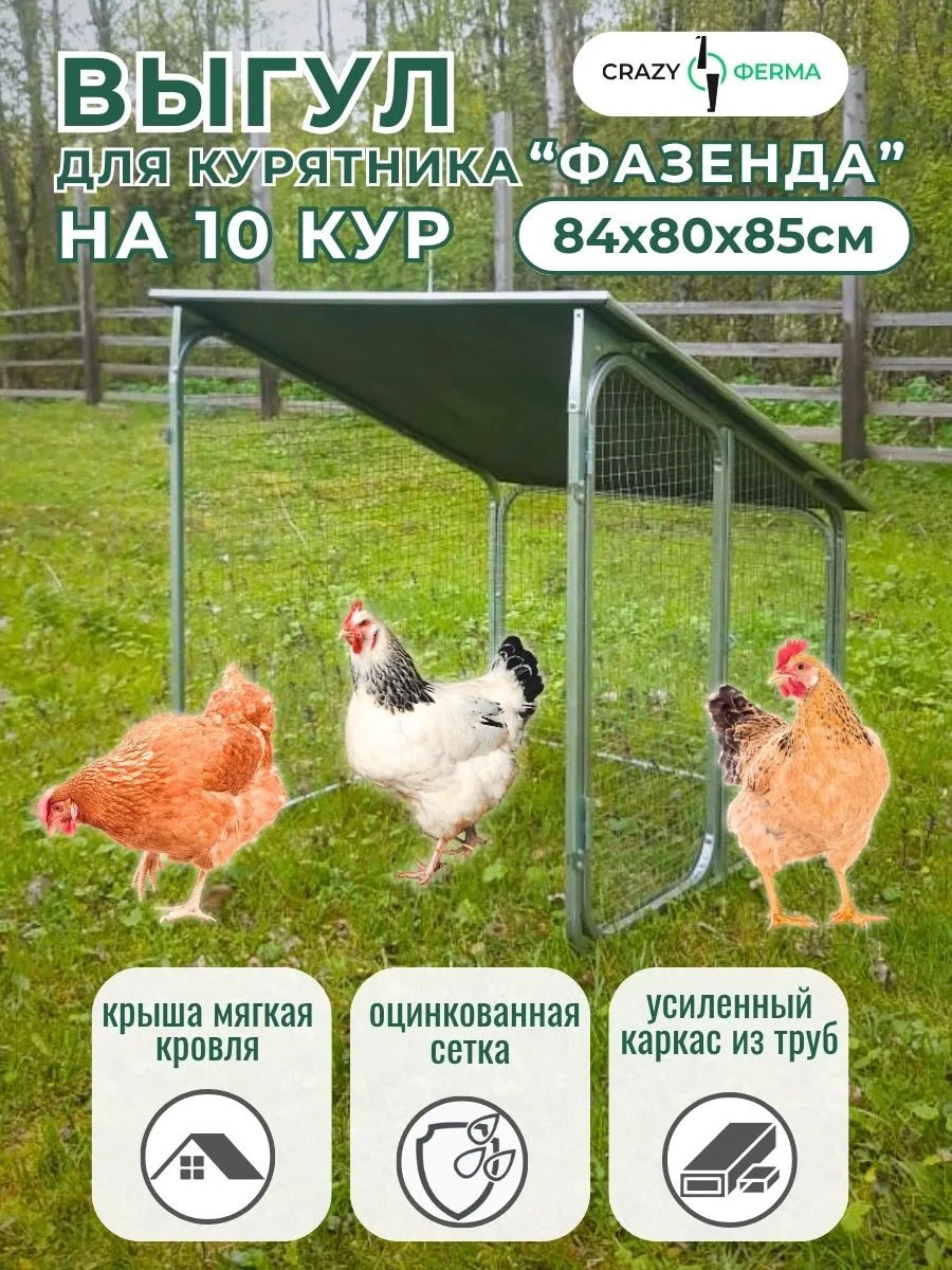 Выгул для домашней птицы для курятника Фазенда с крышей