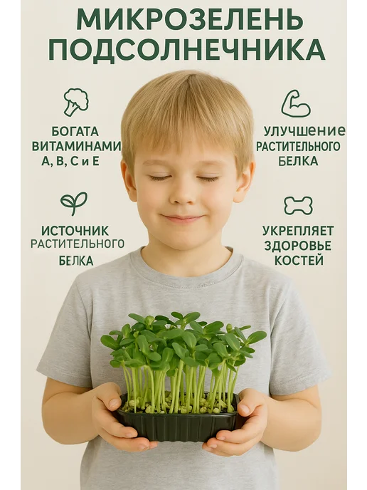 Family Green Набор для выращивания микрозелени. Горох "Мадрас". 3 урожая, зеленый, в упаковке 200 г, фото 3