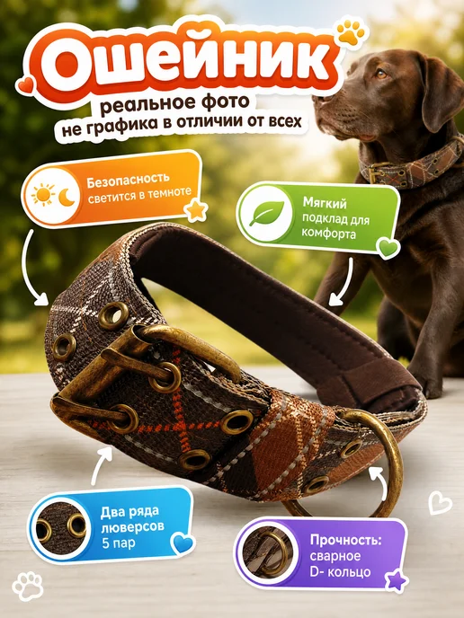 PETSTEP Ошейник для собак крупных и средних пород световозвращающий, зеленый, фото 2