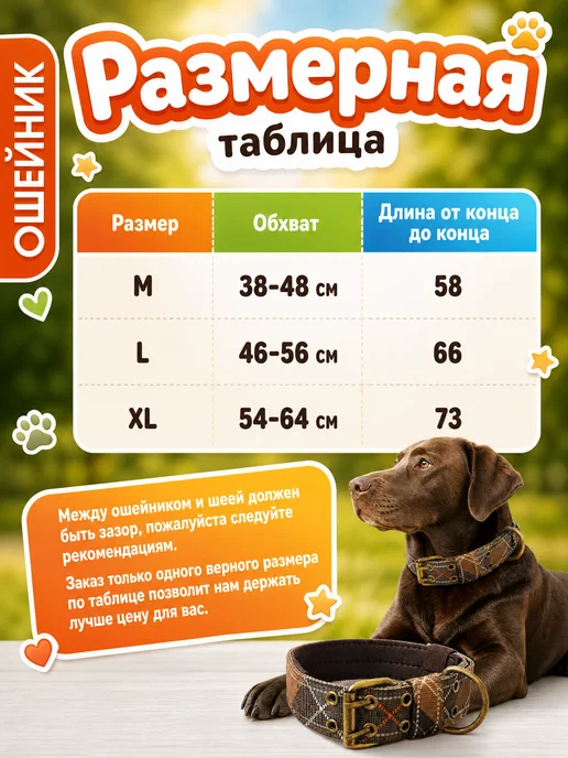 PETSTEP Ошейник для собак крупных и средних пород световозвращающий, зеленый, фото 5