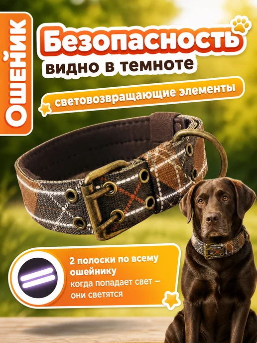 PETSTEP Ошейник для собак крупных и средних пород световозвращающий, зеленый, фото 6