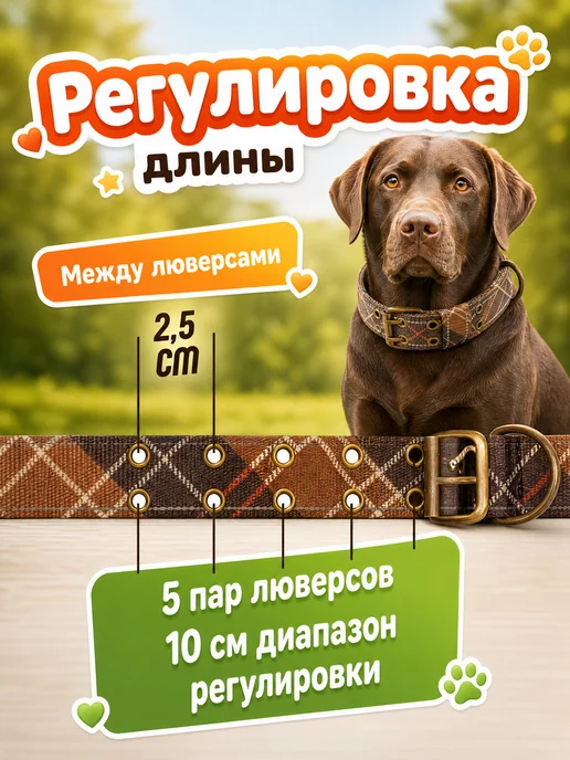 PETSTEP Ошейник для собак крупных и средних пород световозвращающий, зеленый, фото 7