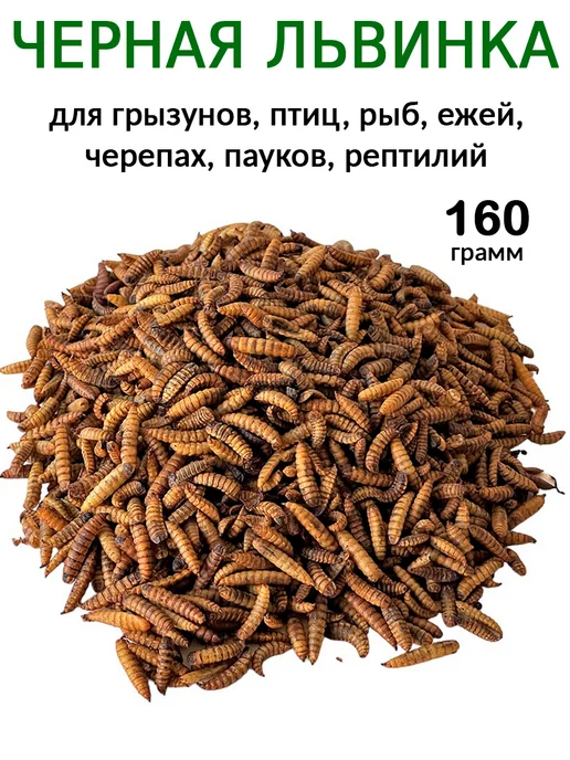 ivanka.market Черная Львинка Сушеная для черепах, крыс, птиц 160 грамм, черный, фото 2