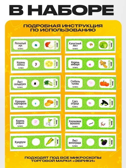 Эврики Набор для опытов «Набор микропрепаратов», растения, вариант, фото 2