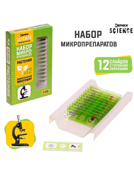 Эврики Набор для опытов «Набор микропрепаратов», растения, вариант, фото 5