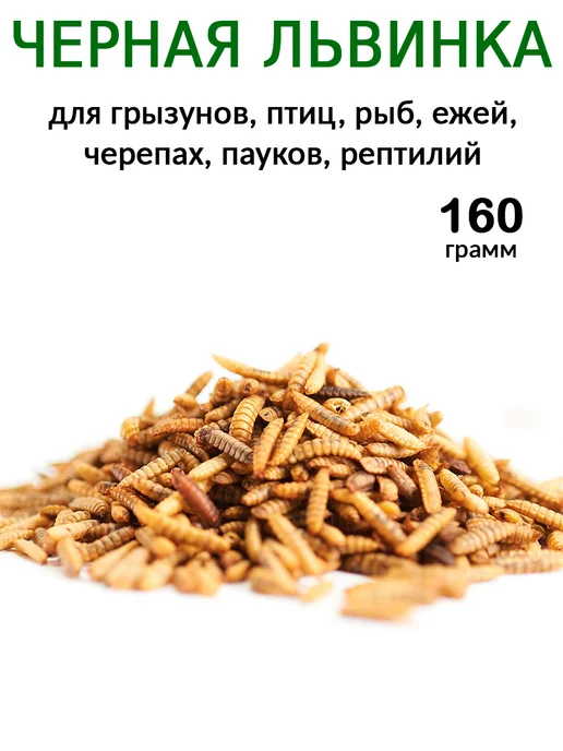 Менделеев Черная Львинка Сушеная для черепах, крыс, птиц 160 грамм, черный, фото 2