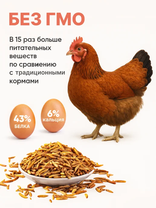 Менделеев Черная Львинка Сушеная для черепах, крыс, птиц 160 грамм, черный, фото 3