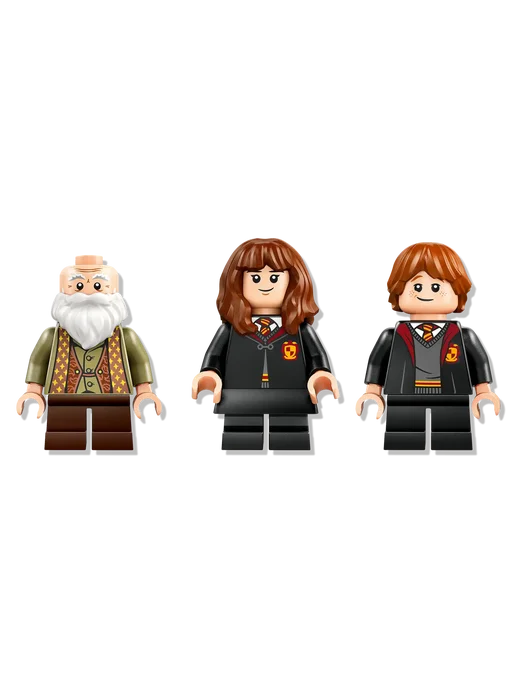 LEGO Harry Potter Замок Хогвартс Урок заклинаний 76442, коричневый, фото 5