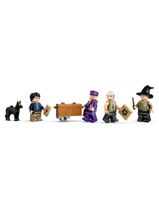 LEGO Harry Potter Приключение на Ноттетемпо 76446, фиолетовый, фото 5