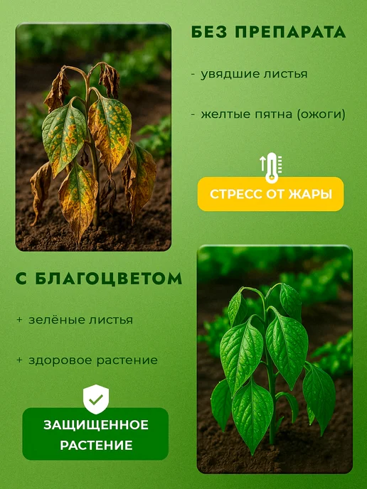 БОТАНИКО Весенний антистресс для растений на основе янтарной кислоты, 250 мл, фото 2