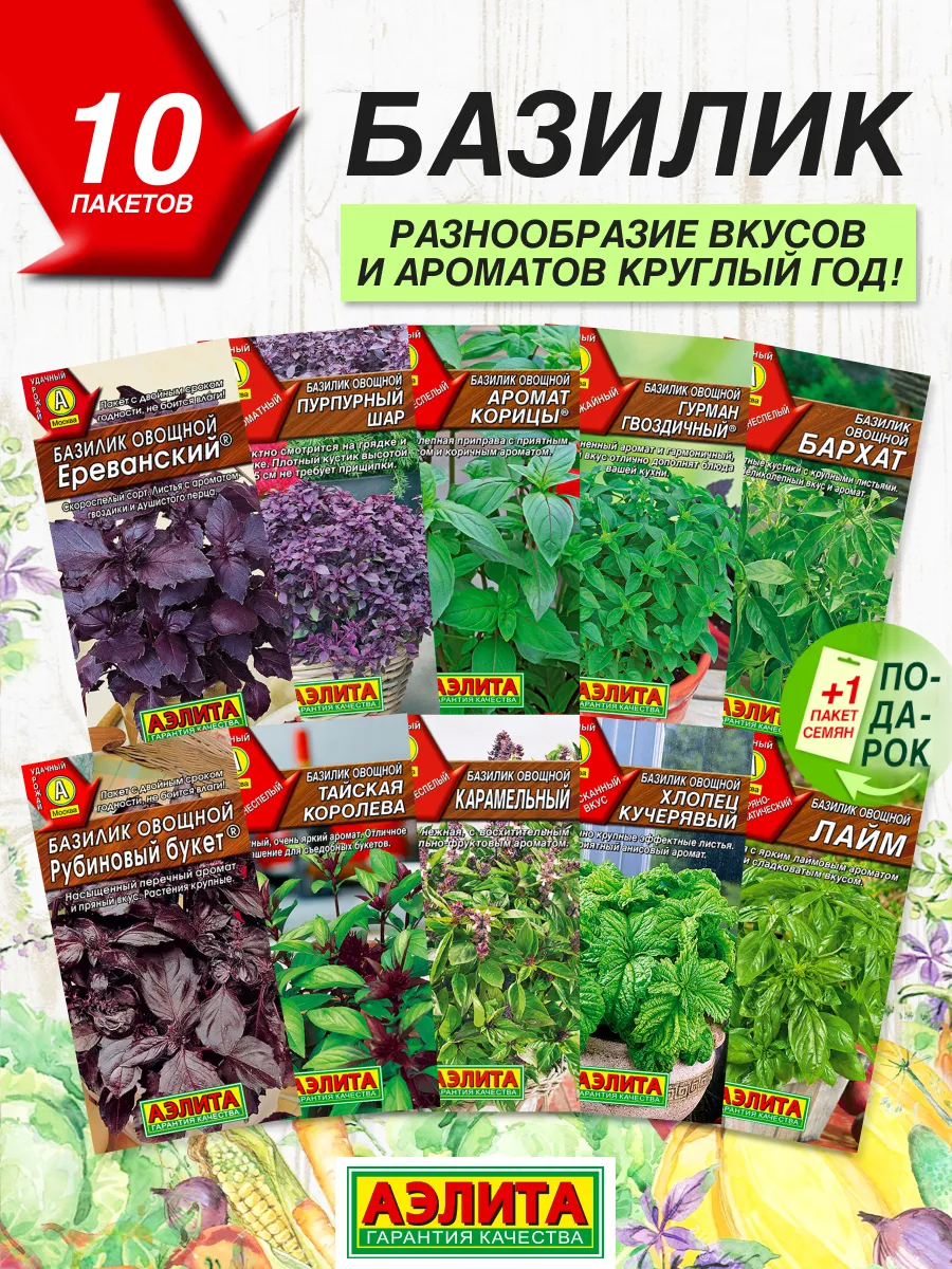Семена Базилика 10 сортов