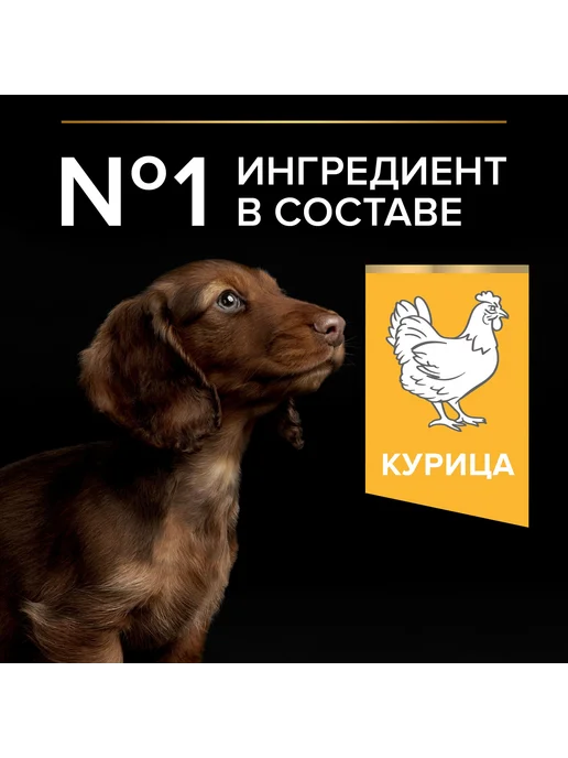 Сухой корм PRO PLAN для собак, щенки, курица, 0,7 кг, фото 4