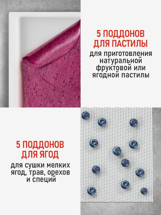 CHEF PRO Сушилка для овощей и фруктов, дегидратор для пастилы мяса, вариант, фото 4