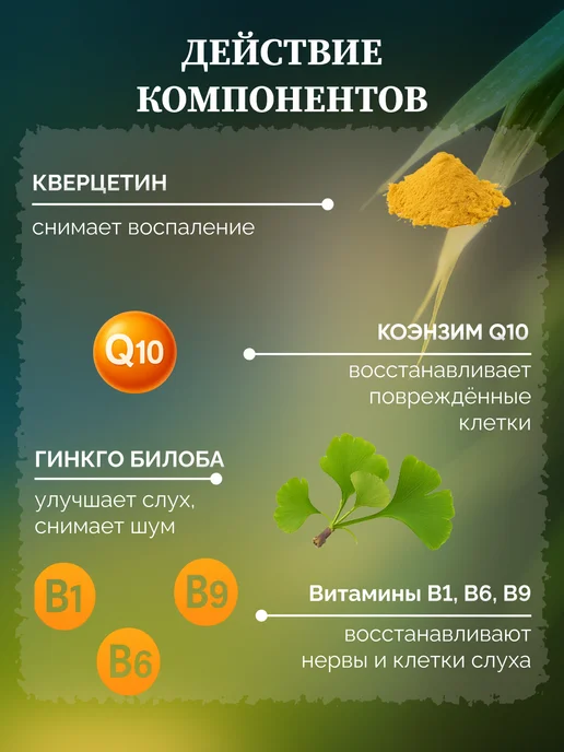 Клуб здоровья Эликсир Нейрослух от тугоухости и шума в ушах, вариант, фото 6