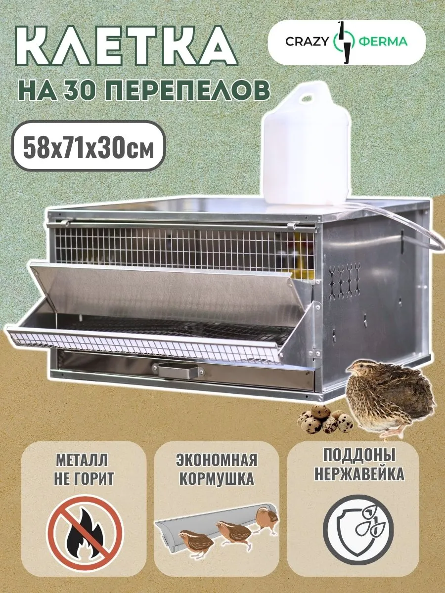 Клетка Профессионал 55 / для перепелов / один поддон с высотой бортика 4 см / поддон из нержавеющего металла / корпус из оцинкованного металла / 1 ярус