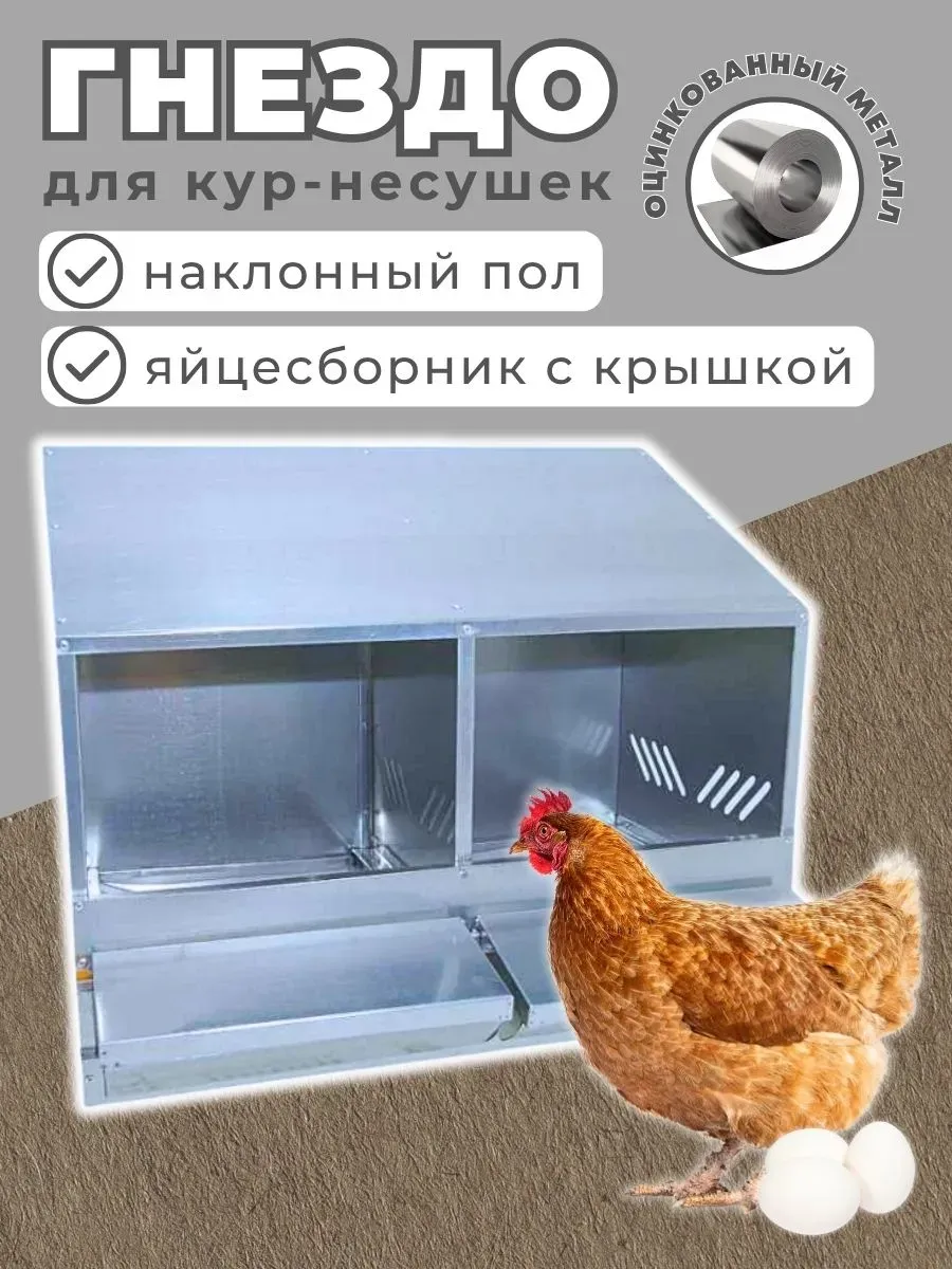 Гнездо для кур несушек подвесное с яйцесборником