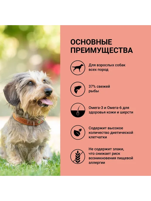 Сухой корм Ownat для собак, лосось, 14 кг, фото 2