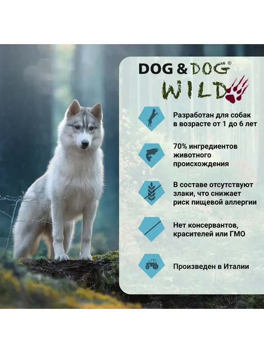 Сухой корм Dog&Dog Wild для собак, лосось, треска, 12 кг, фото 2