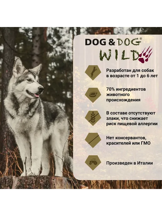 Сухой корм Dog&Dog Wild Кабана для собак, мясо, ягненок, 12 кг, фото 2