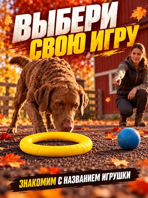 ЗООГЕНИЙ Игрушка для собак Пуллер 28 см, кольцо для дрессировки, желтый, фото 5