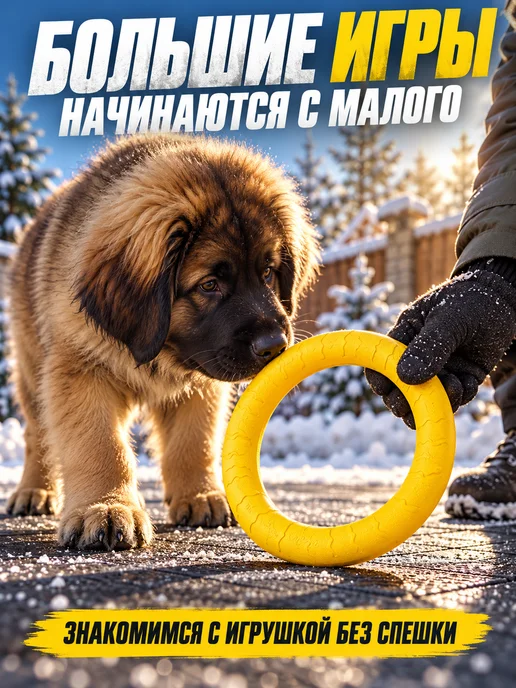 ЗООГЕНИЙ Игрушка для собак Пуллер 28 см, кольцо для дрессировки, желтый, фото 6