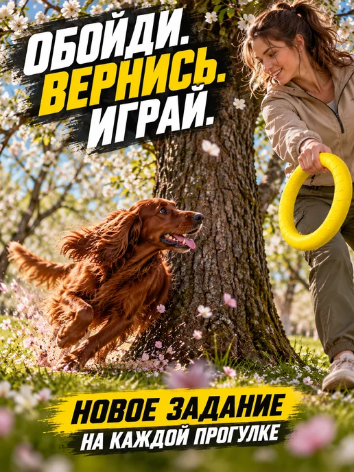 ЗООГЕНИЙ Игрушка для собак Пуллер 28 см, кольцо для дрессировки, желтый, фото 8
