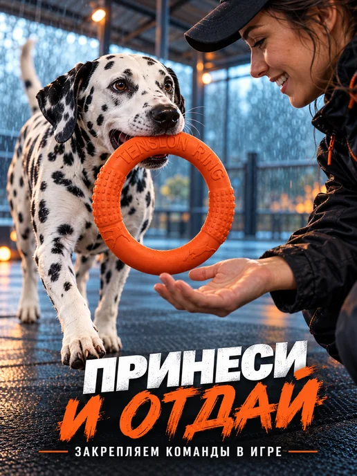 ЗООГЕНИЙ Пуллер для собак, прочная игрушка кольцо для активных игр, оранжевый, фото 5